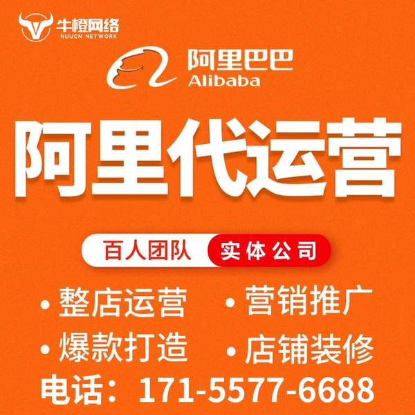 长垣电商代运营