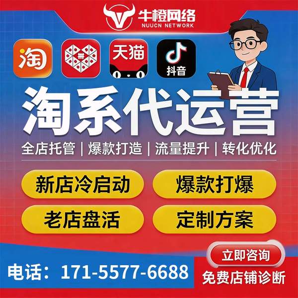 长垣电商代运营