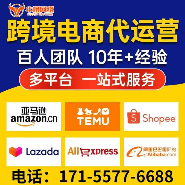 长垣电商代运营