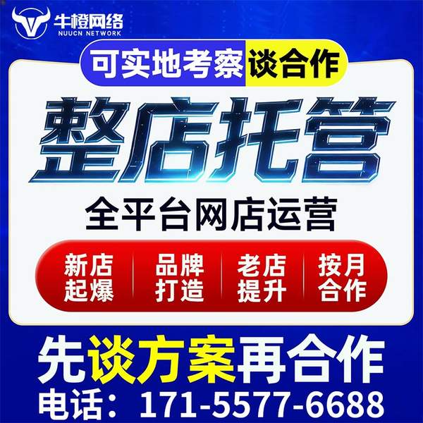 长垣电商代运营