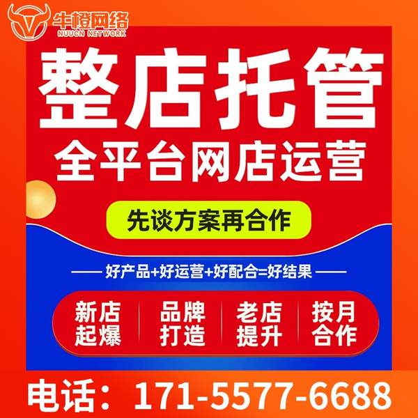 长垣电商代运营