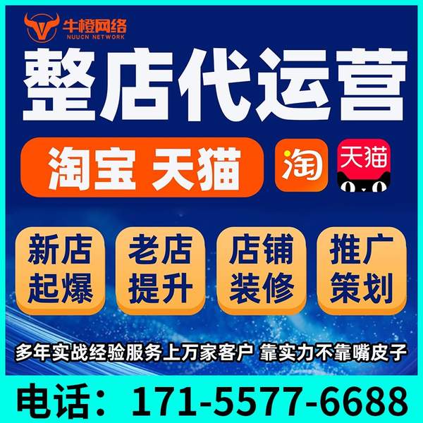 长垣电商代运营