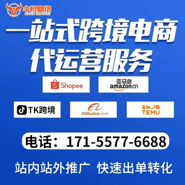 长垣电商代运营