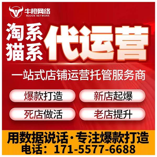 长垣电商代运营